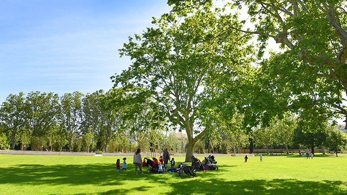 Guide ultime des meilleurs parcs et espaces verts à Lyon 5 Parc Blandan : espaces verts à Lyon
