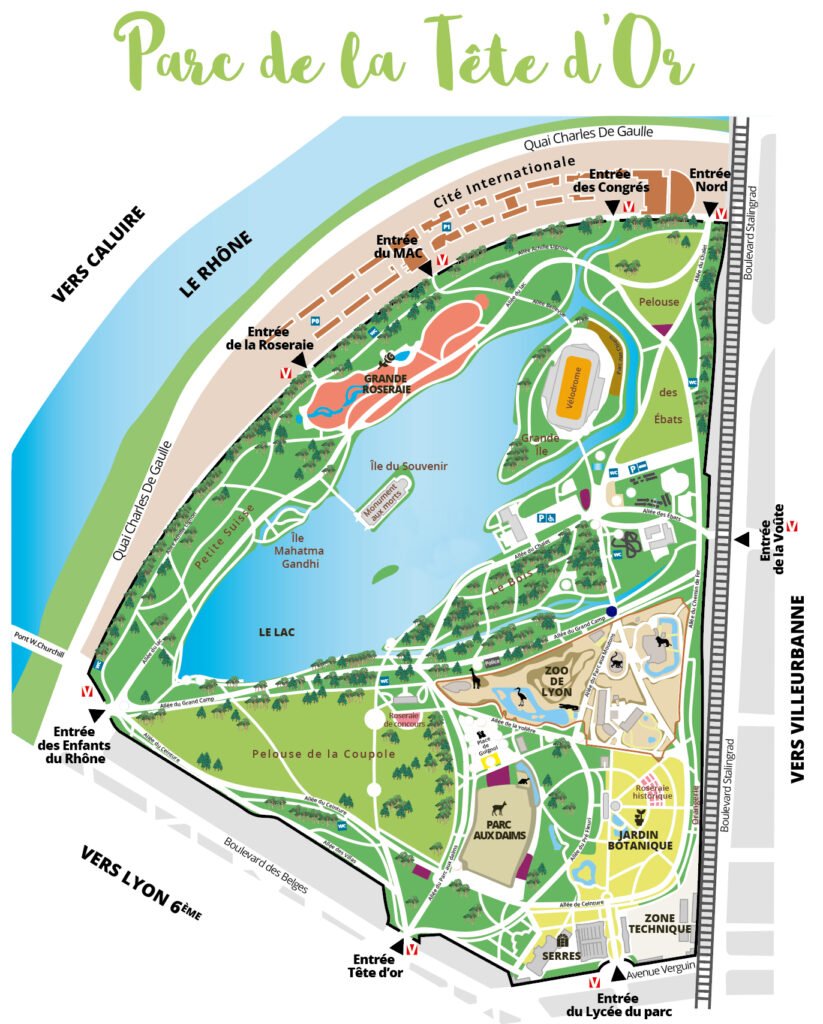 Guide ultime des meilleurs parcs et espaces verts à Lyon 2 Parc de la Tête d'Or : espaces verts à Lyon