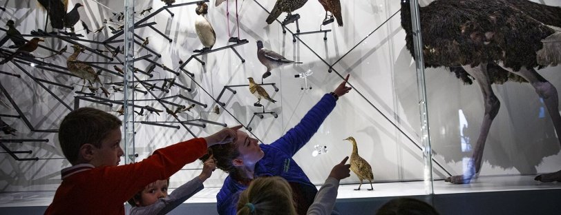 Le Musée des Confluences à Lyon : une fenêtre sur le monde 5 Musée des Confluences