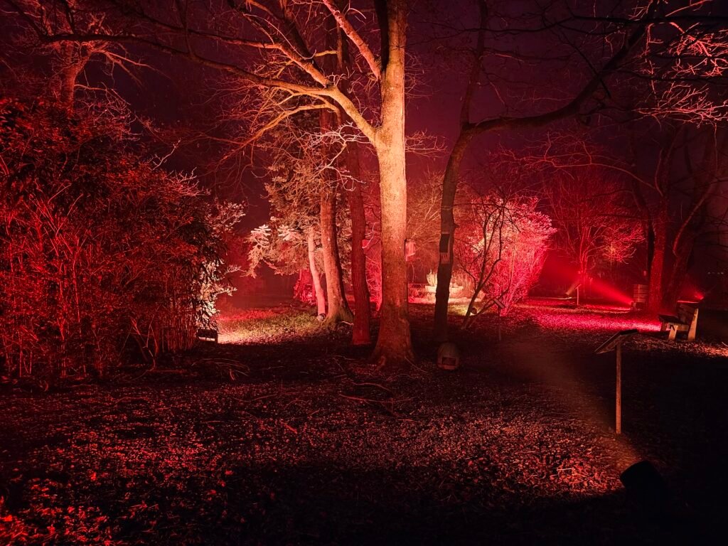 Les Nuits du Parc 2025 : le spectacle sons et lumières du Parc des Oiseaux 5 Les Nuits du Parc 2025