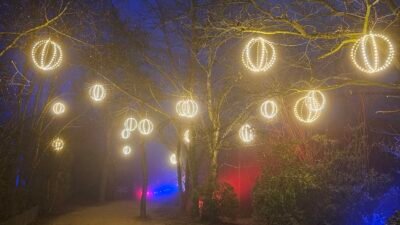 Les Nuits du Parc 2025